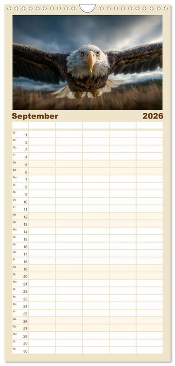 Produktbild: Familienplaner 2026 - Majest&auml;tische Wei&szlig;kopfseeadler - Der K&ouml;nig der L&uuml;fte mit 5 Spalten (Wandkalender, 21 x 45 cm) CALVENDO
