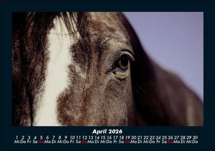 Produktbild: Pferdegefl&uuml;ster 2026 Fotokalender DIN A5
