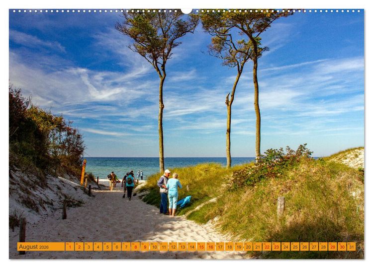 Produktbild: Wilder Dar&szlig;er Weststrand (hochwertiger Premium Wandkalender 2026 DIN A2 quer), Kunstdruck in Hochglanz