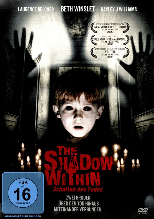 Produktbild: The Shadow within