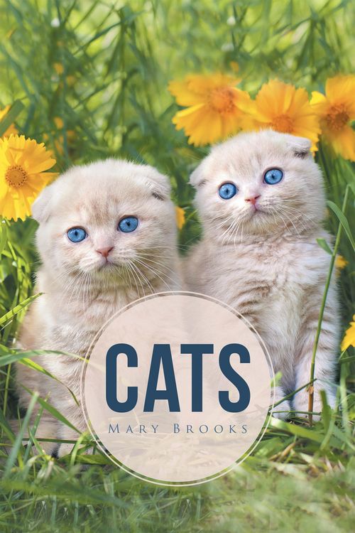 Produktbild: Cats