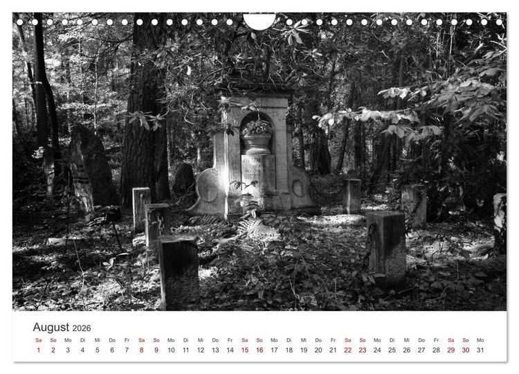 Produktbild: Wachgek&uuml;sst - Vom Zauber der Vergangenheit - S&uuml;dwestkirchhof Stahnsdorf (Wandkalender 2026 DIN A4 quer), CALVENDO Monatskalender