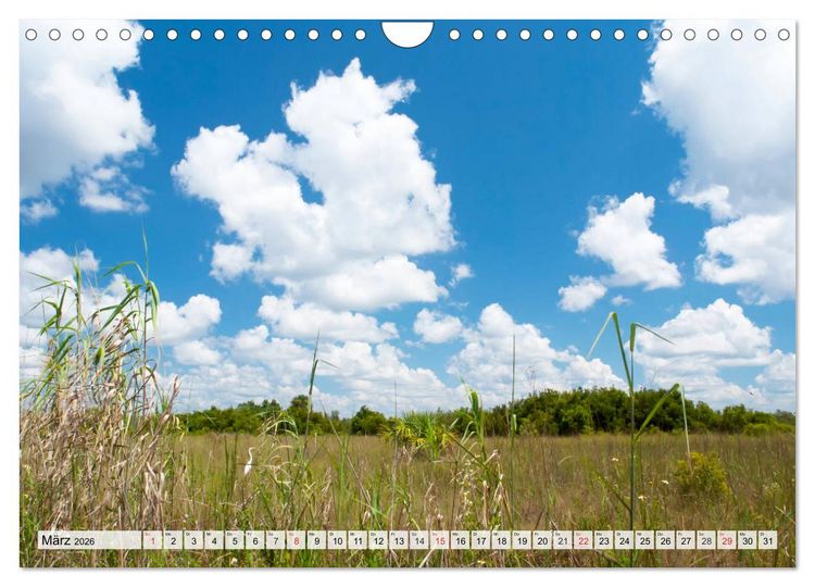 Produktbild: FLORIDA Paradiesischer Sonnenscheinstaat (Wandkalender 2026 DIN A4 quer), CALVENDO Monatskalender