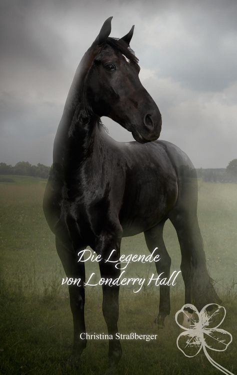 Produktbild: Die Legende von Londerry Hall