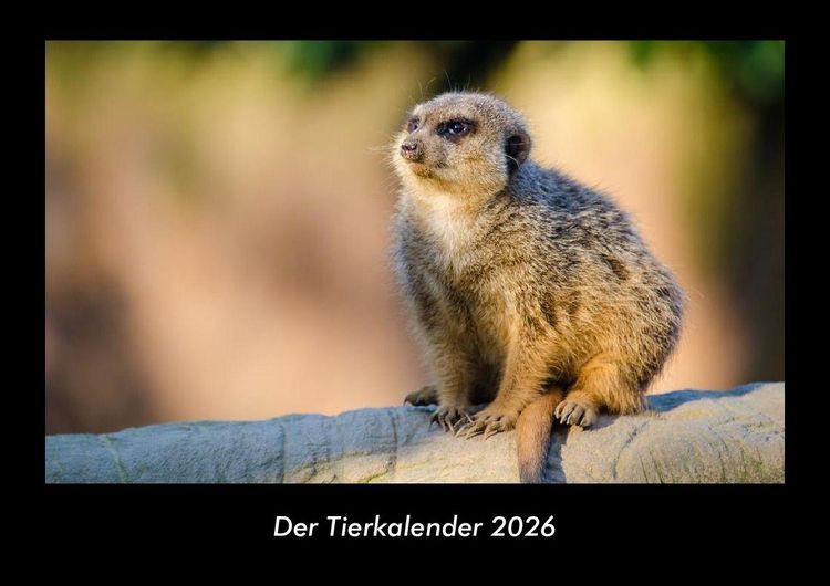 Produktbild: Der Tierkalender 2026 Fotokalender DIN A3