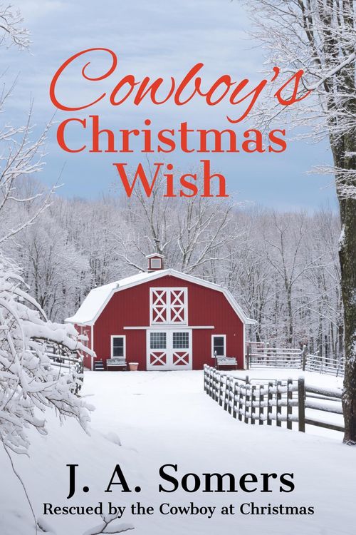 Produktbild: Cowboy's Christmas Wish (Rescued by the Cowboy at Christmas, #4)