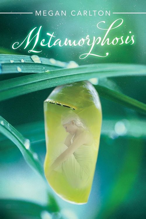 Produktbild: Metamorphosis