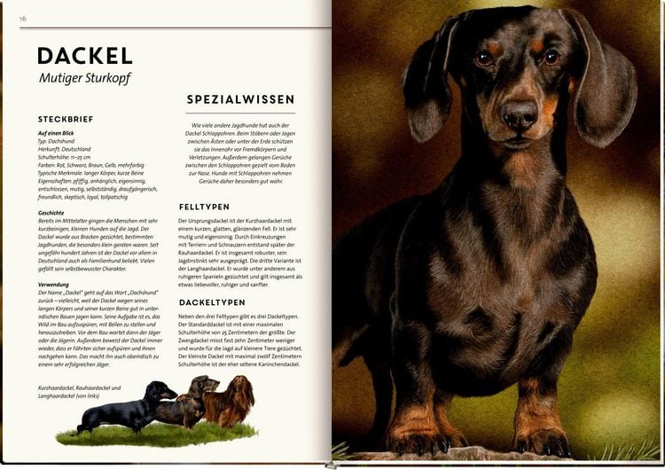 Produktbild: Lebensgro&szlig;