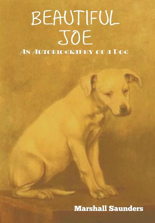 Produktbild: Beautiful Joe