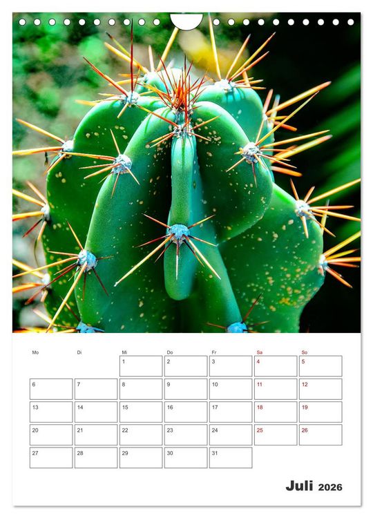 Produktbild: Dornige Sch&ouml;nheiten - Kakteen und Sukkulenten (Wandkalender 2026 DIN A4 hoch), CALVENDO Monatskalender