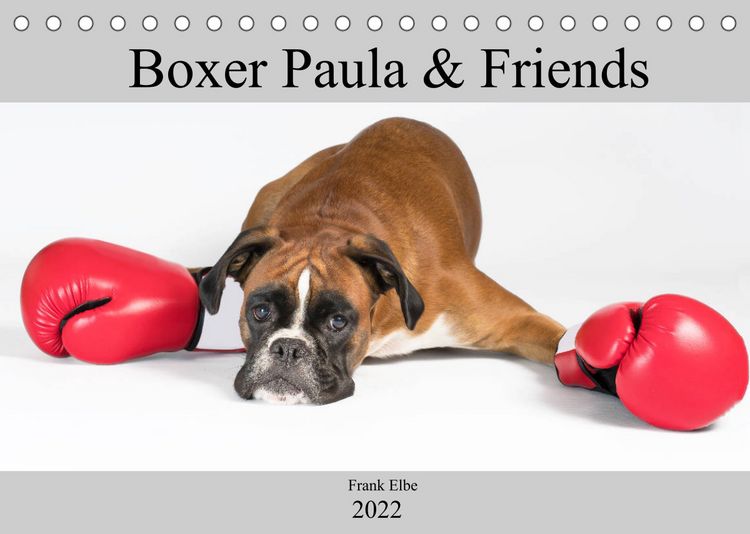 Produktbild: Boxerh&uuml;ndin Paula and Friends (Tischkalender 2022 DIN A5 quer)