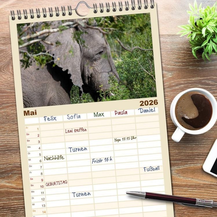 Produktbild: Familienplaner 2026 - begegnungen - elefanten im s&uuml;dlichen afrika mit 5 Spalten (Wandkalender, 21 x 45 cm) CALVENDO