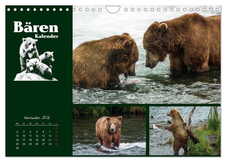 Produktbild: B&auml;renkalender (Wandkalender 2026 DIN A4 quer), CALVENDO Monatskalender
