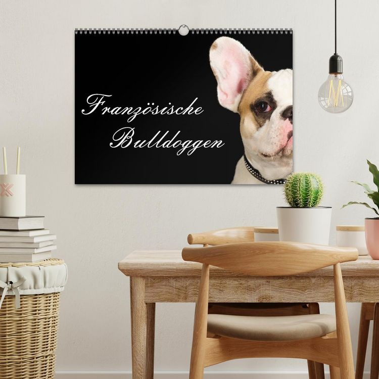 Produktbild: Franz&ouml;sische Bulldoggen (Wandkalender 2026 DIN A3 quer), CALVENDO Monatskalender