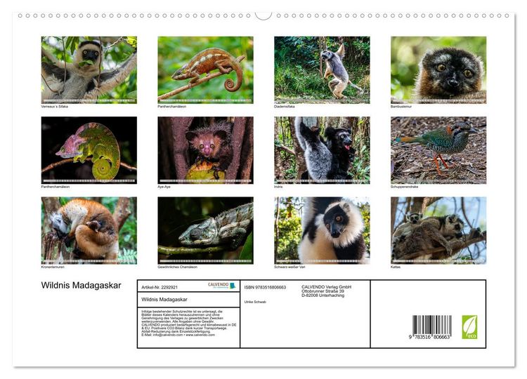 Produktbild: Wildnis Madagaskar (hochwertiger Premium Wandkalender 2027 DIN A2 quer), Kunstdruck in Hochglanz