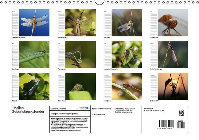 Produktbild: Libellen Geburtstagskalender (Wandkalender immerw&auml;hrend DIN A3 quer)