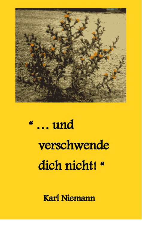 Produktbild: "... und verschwende dich nicht!"