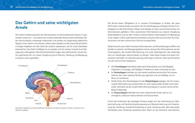 Produktbild: Das neue Krafttraining