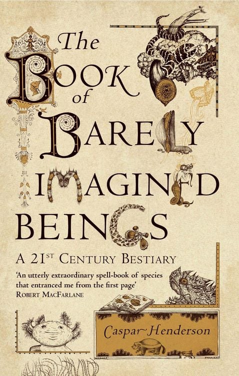 Produktbild: The Book of Barely Imagined Beings