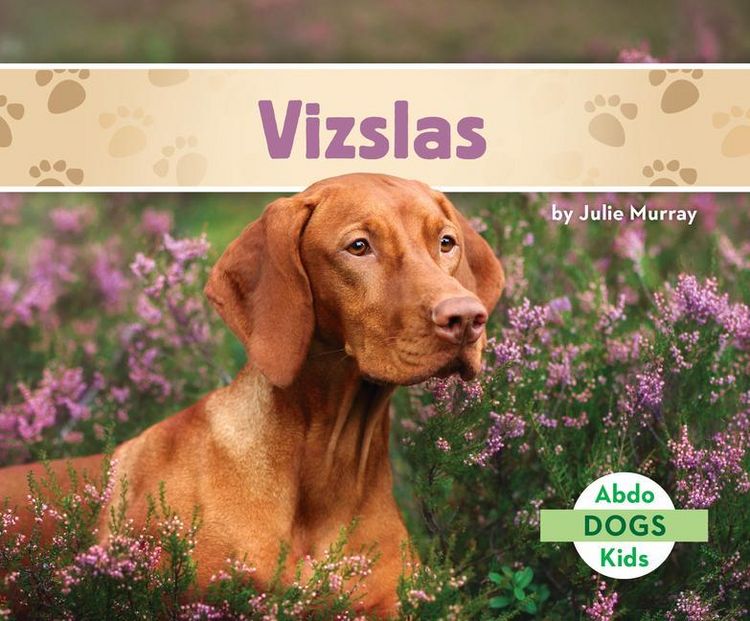 Produktbild: Vizslas