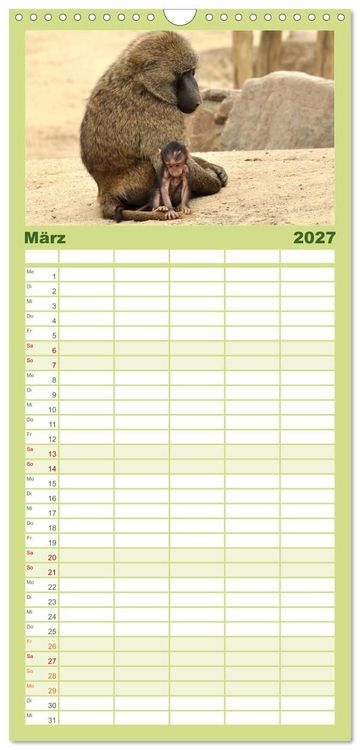 Produktbild: Familienplaner 2027 - Kleine Schelme - Tierbabys mit 5 Spalten (Wandkalender, 21 x 45 cm) CALVENDO