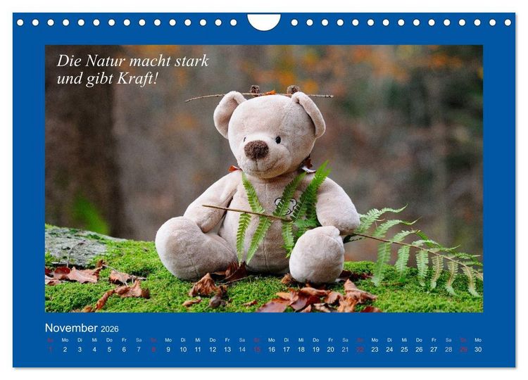 Produktbild: Sommer im Teddy-Land. B&auml;r und Freunde (Wandkalender 2026 DIN A4 quer), CALVENDO Monatskalender