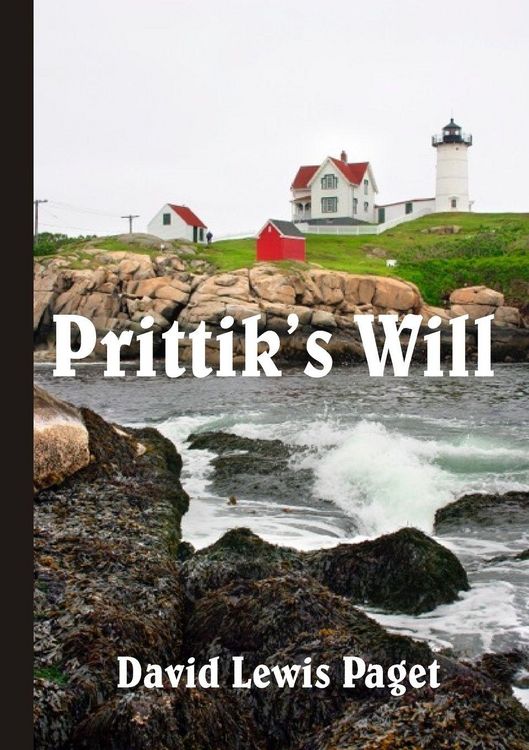 Produktbild: Prittik's Will