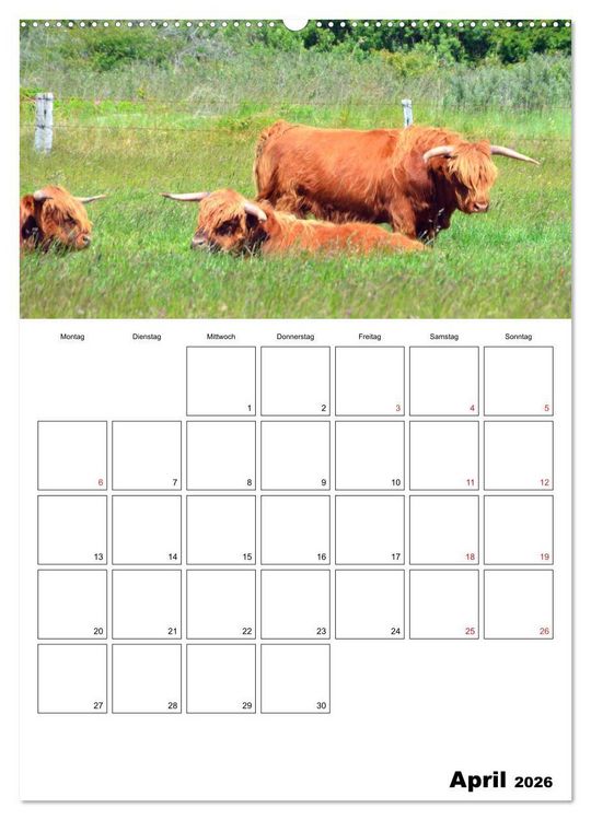 Produktbild: Langeoog - eine Trauminsel (hochwertiger Premium Wandkalender 2026 DIN A2 hoch), Kunstdruck in Hochglanz