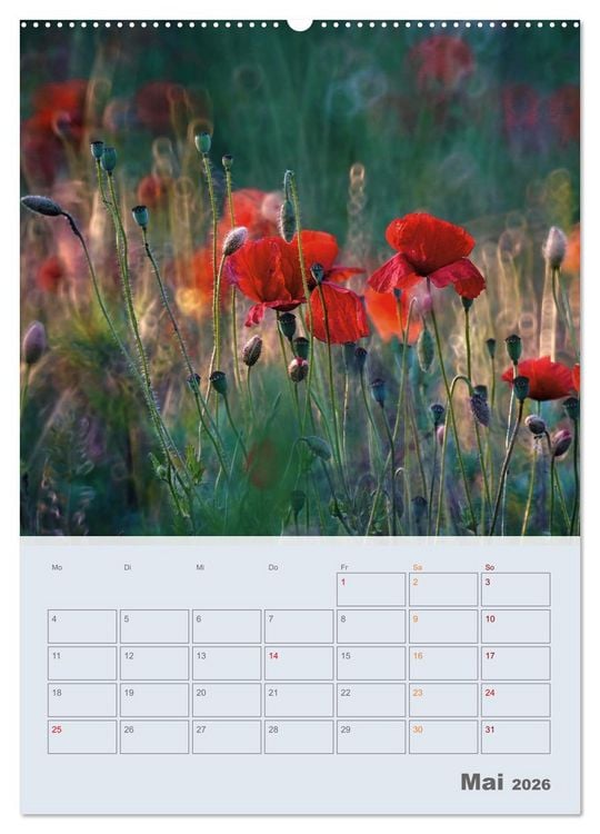 Produktbild: Magie im Garten (hochwertiger Premium Wandkalender 2026 DIN A2 hoch), Kunstdruck in Hochglanz