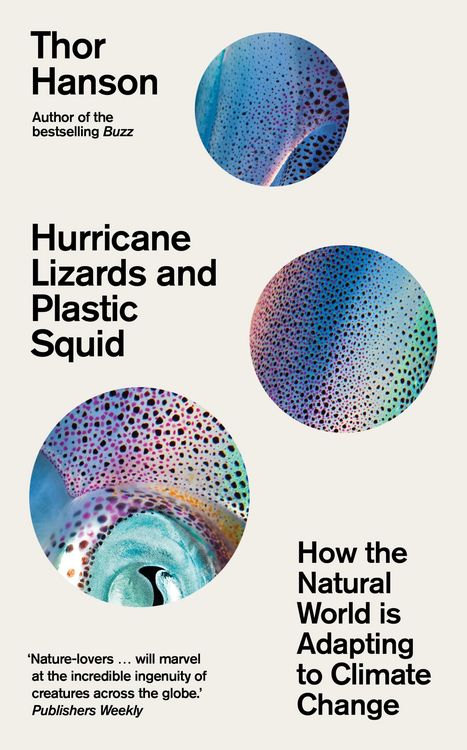 Produktbild: Hurricane Lizards and Plastic Squid