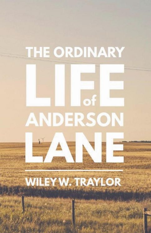 Produktbild: The Ordinary Life of Anderson Lane