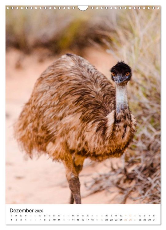 Produktbild: australian animals (Wandkalender 2026 DIN A3 hoch), CALVENDO Monatskalender