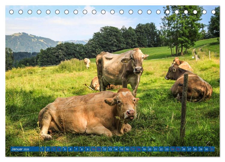 Produktbild: Allg&auml;u - Perle im S&uuml;den (Tischkalender 2026 DIN A5 quer), CALVENDO Monatskalender
