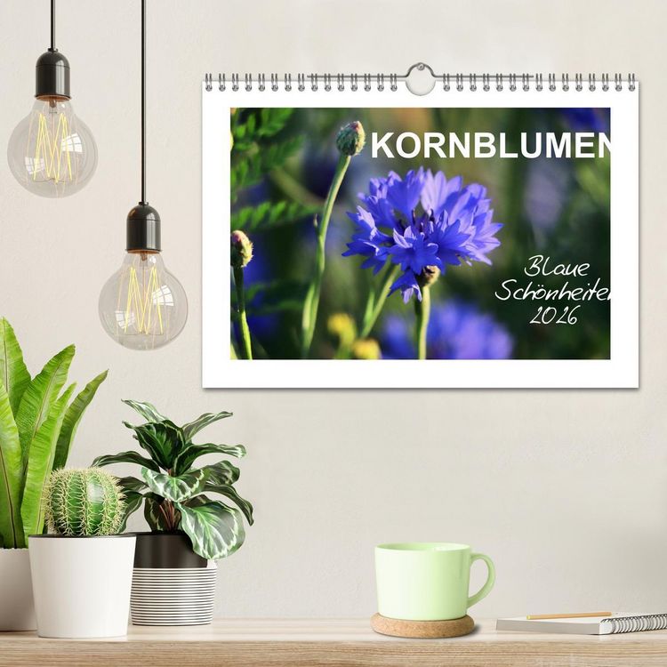 Produktbild: Kornblumen - Blaue Sch&ouml;nheiten (Wandkalender 2026 DIN A4 quer), CALVENDO Monatskalender