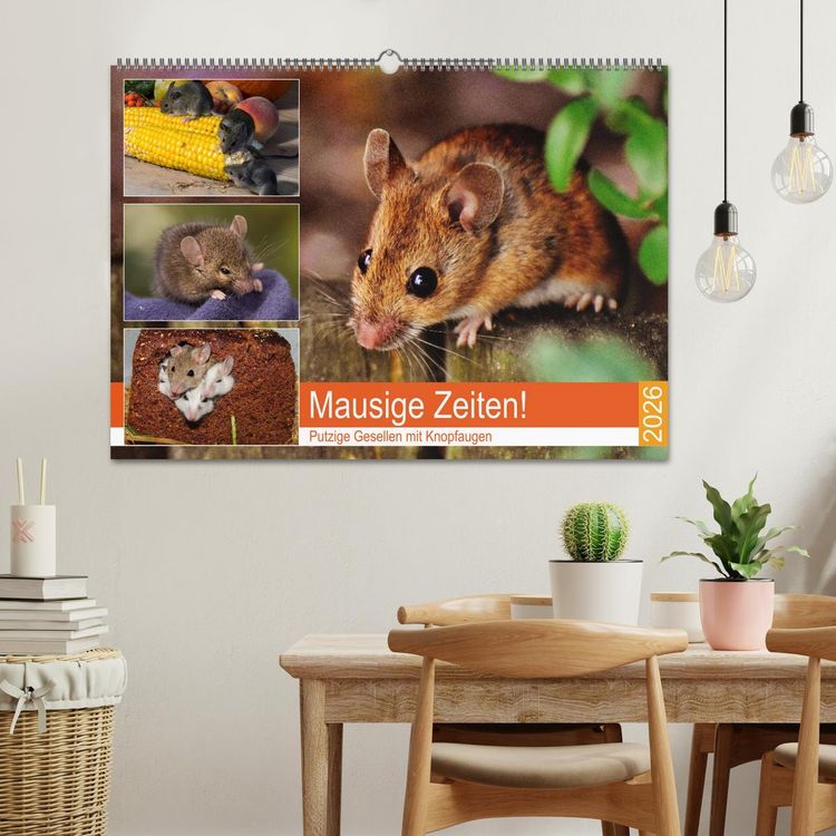 Produktbild: Mausige Zeiten! Putzige Gesellen mit Knopfaugen (Wandkalender 2026 DIN A2 quer), CALVENDO Monatskalender
