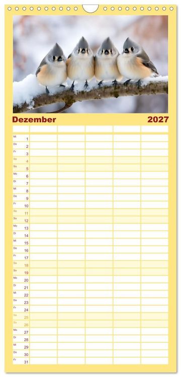 Produktbild: Familienplaner 2027 - Die Magie der Masse mit 5 Spalten (Wandkalender, 21 x 45 cm) CALVENDO