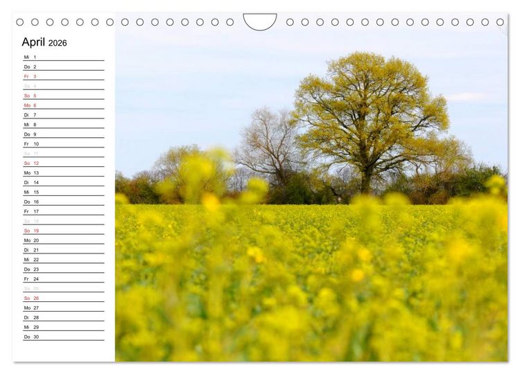 Produktbild: Die Jahreszeiten im Havelland (Wandkalender 2026 DIN A4 quer), CALVENDO Monatskalender