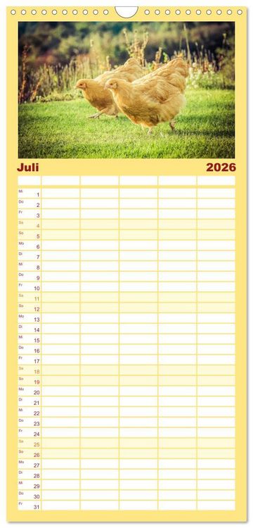 Produktbild: Familienplaner 2026 - H&uuml;hner in meinem Garten mit 5 Spalten (Wandkalender, 21 x 45 cm) CALVENDO