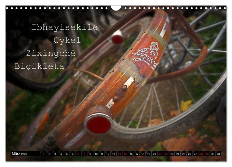 Produktbild: Weltfahrrad (Wandkalender 2026 DIN A3 quer), CALVENDO Monatskalender