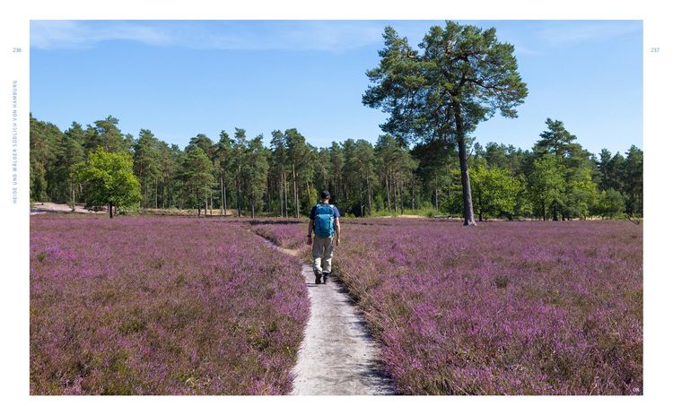 Produktbild: Wild Guide Hamburg & der Nordwesten