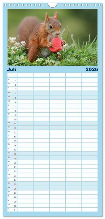 Produktbild: Familienplaner 2026 - Eichh&ouml;rnchen Luna und ihre Kinder mit 5 Spalten (Wandkalender, 21 x 45 cm) CALVENDO