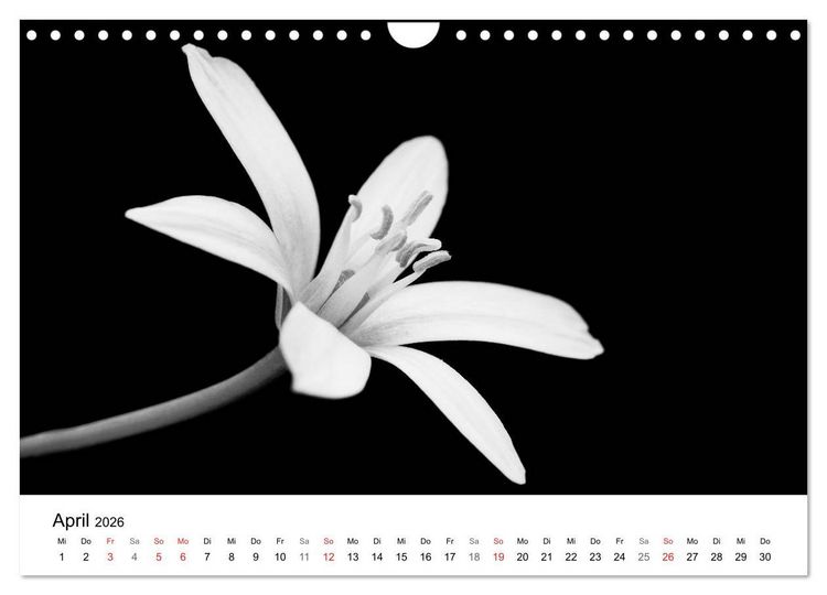 Produktbild: Blumen 2026, Schwarz-Wei&szlig; (Wandkalender 2026 DIN A4 quer), CALVENDO Monatskalender