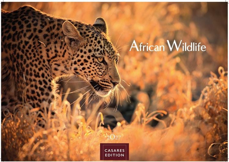 Produktbild: Wilde Tiere Afrikas Kalender 2027 &ndash; Wandkalender | Fotokalender Afrika 35x50cm | Naturfotografie | Tierkalender Afrika | Geschenk f&uuml;r Naturliebhaber