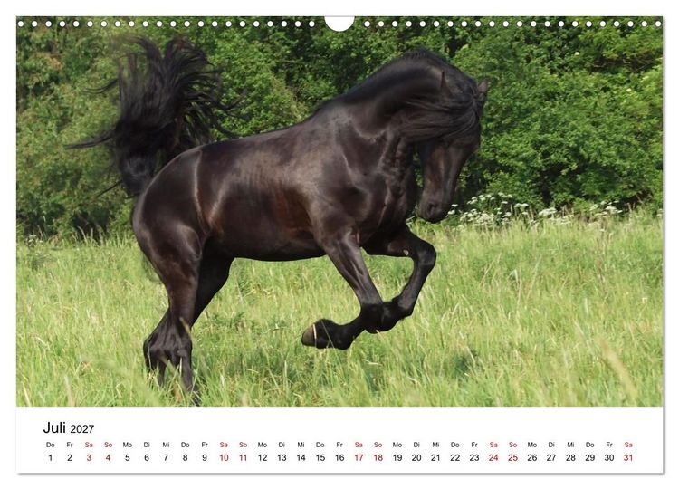 Produktbild: Friesen - Kraft und Eleganz (Wandkalender 2027 DIN A3 quer), CALVENDO Monatskalender