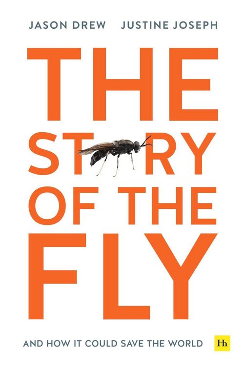 Produktbild: Drew, J: The Story of the Fly