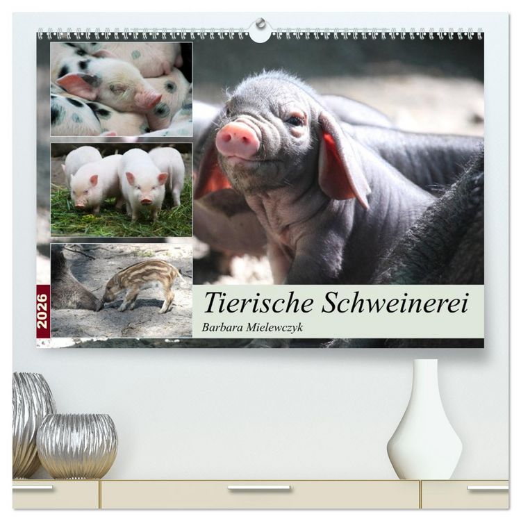 Produktbild: Tierische Schweinerei (hochwertiger Premium Wandkalender 2026 DIN A2 quer), Kunstdruck in Hochglanz