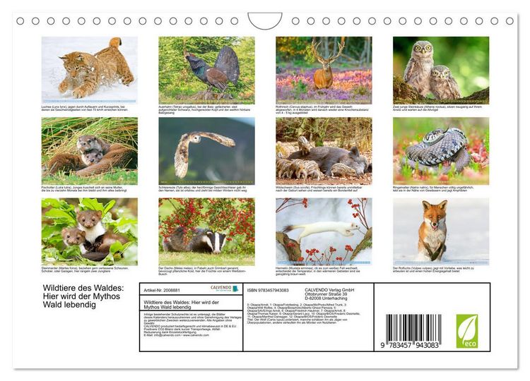 Produktbild: Wildtiere des Waldes: Hier wird der Mythos Wald lebendig (Wandkalender 2026 DIN A4 quer), CALVENDO Monatskalender