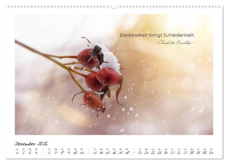 Produktbild: Mit guten Gedanken durch das Jahr (hochwertiger Premium Wandkalender 2026 DIN A2 quer), Kunstdruck in Hochglanz