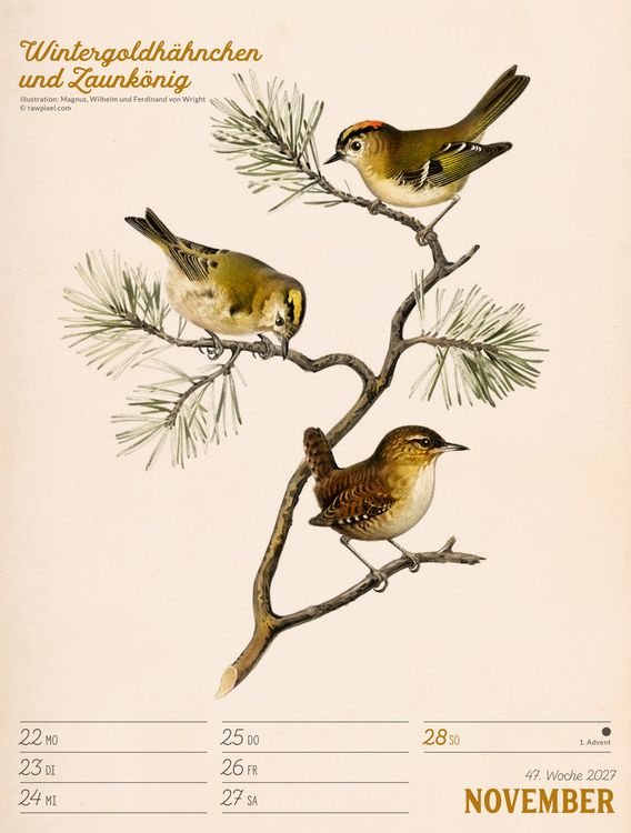 Produktbild: Wunderbare Vogelwelt Wochenplaner Kalender 2027