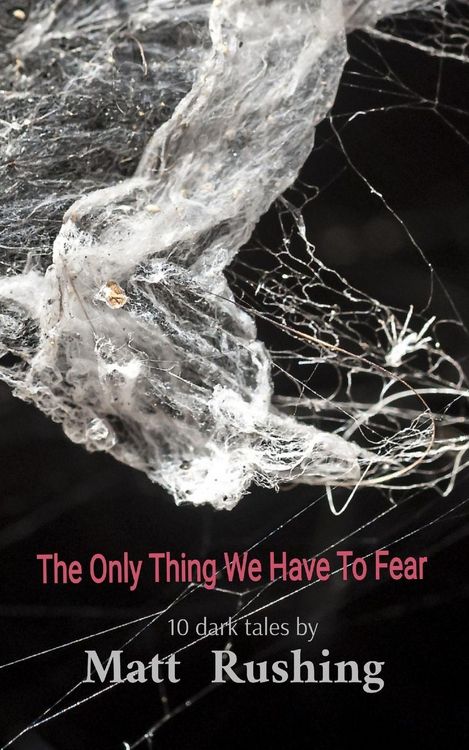 Produktbild: The Only Thing We Have To Fear